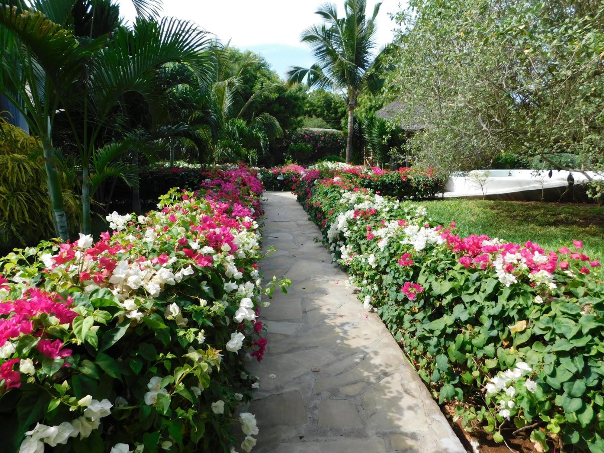 Dama Villa Watamu Esterno foto